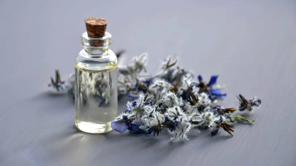 Lavender oil for anxiety