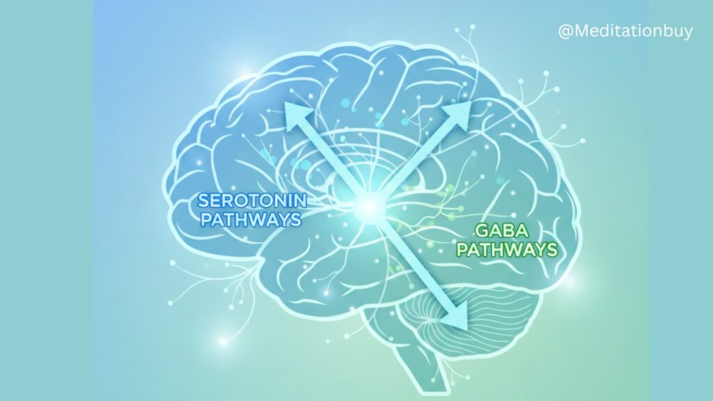 how anxiety medications affect serotonin and GABA pathways in the brain